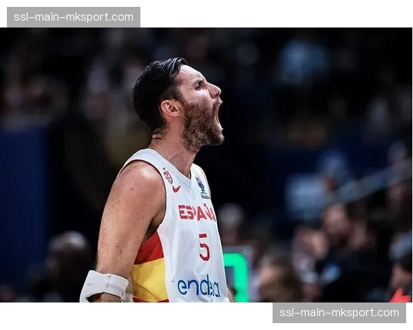 西班牙黄金一代最后代表鲁迪·费尔南德斯的国家队未来计划